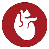 Icône Échocardiographie