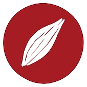 Icône Échographie Superficielle