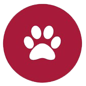 Icône propriétaire d'animaux